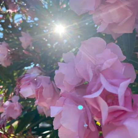 Сasa de vacaciones Loustalou Puycelci