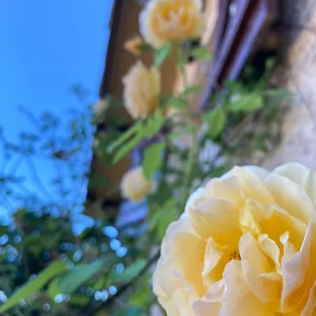 Сasa de vacaciones Loustalou