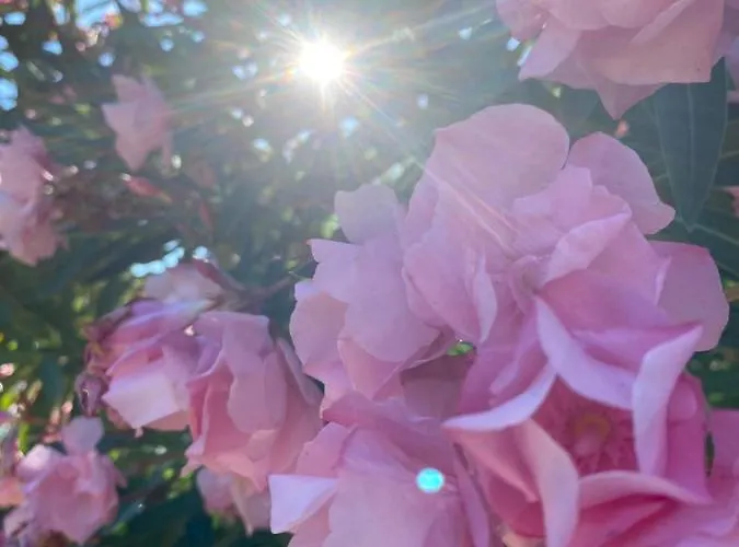 度假居 Loustalou Puycelci